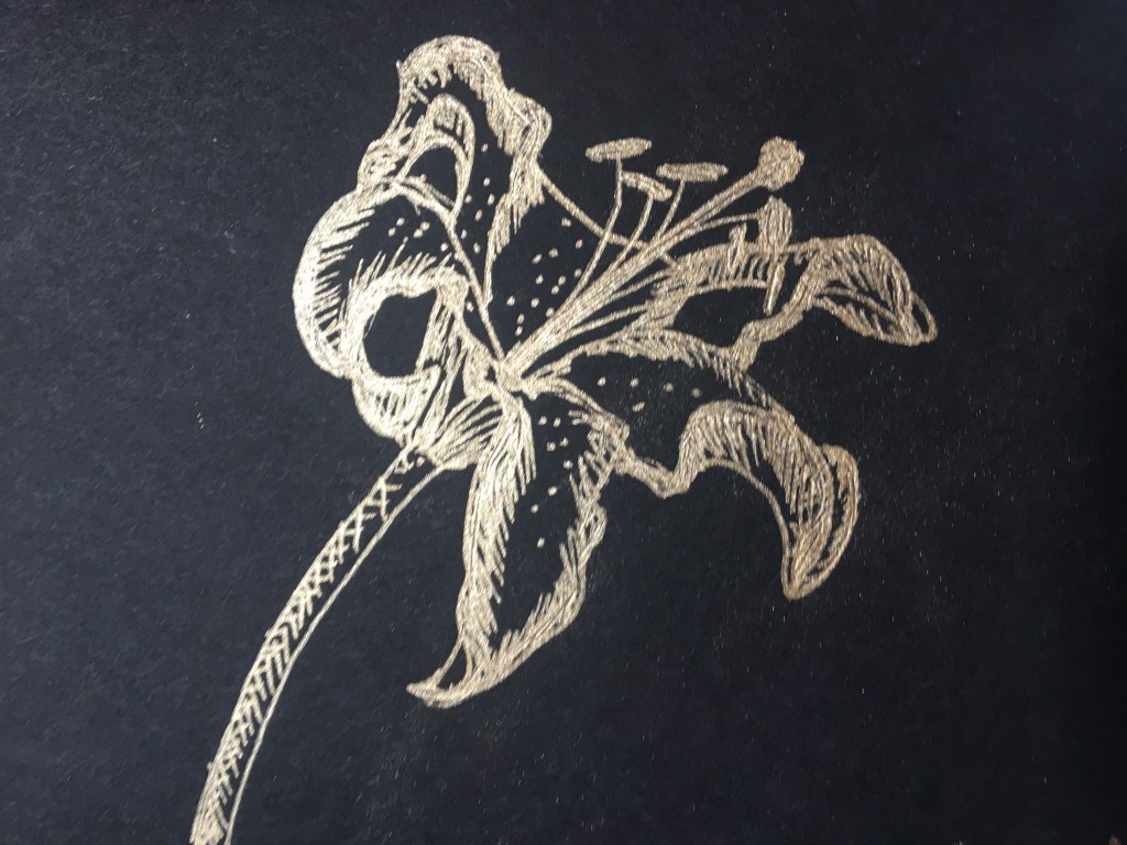 Gold ink drawing of a lily in fine hatched lines on black paper.